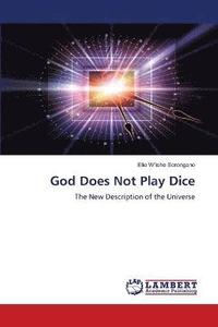 bokomslag God Does Not Play Dice