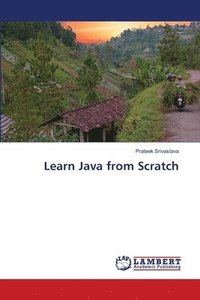 bokomslag Learn Java from Scratch