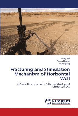 bokomslag Fracturing and Stimulation Mechanism of Horizontal Well