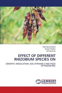 bokomslag Effect of Different Rhizobium Species on