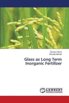 bokomslag Glass as Long Term Inorganic Fertilizer