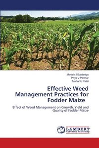 bokomslag Effective Weed Management Practices for Fodder Maize