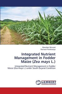 bokomslag Integrated Nutrient Management in Fodder Maize (Zea mays L.)
