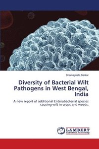 bokomslag Diversity of Bacterial Wilt Pathogens in West Bengal, India