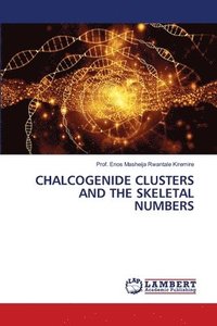 bokomslag Chalcogenide Clusters and the Skeletal Numbers