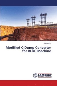 bokomslag Modified C-Dump Converter for BLDC Machine