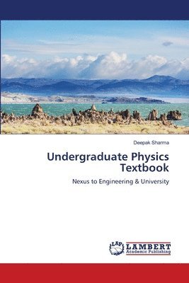 bokomslag Undergraduate Physics Textbook