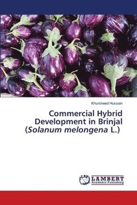 bokomslag Commercial Hybrid Development in Brinjal (Solanum melongena L.)