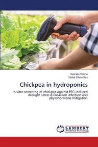 bokomslag Chickpea in hydroponics