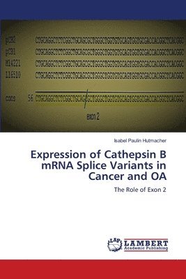 Expression of Cathepsin B mRNA Splice Variants in Cancer and OA 1