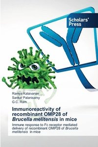 bokomslag Immunoreactivity of recombinant OMP28 of Brucella melitensis in mice