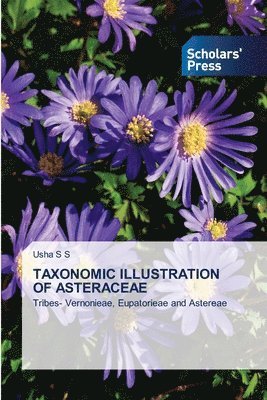 Taxonomic Illustration of Asteraceae 1