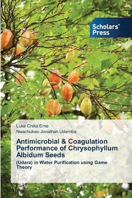 bokomslag Antimicrobial & Coagulation Performance of Chrysophyllum Albidum Seeds