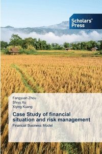 bokomslag Case Study of financial situation and risk management