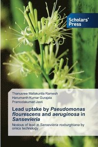 bokomslag Lead uptake by Pseudomonas flourescens and aeruginosa in Sansevieria