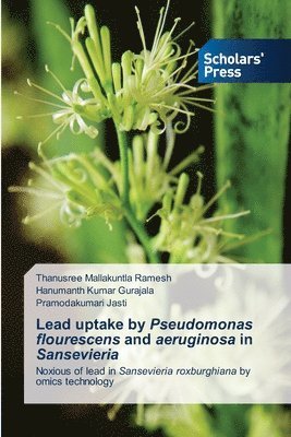 Lead uptake by Pseudomonas flourescens and aeruginosa in Sansevieria 1