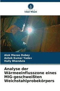 bokomslag Analyse der Wrmeeinflusszone eines MIG-geschweiten Weichstahlprobekrpers