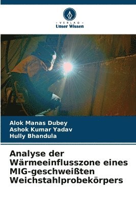Analyse der Wärmeeinflusszone eines MIG-geschweißten Weichstahlprobekörpers