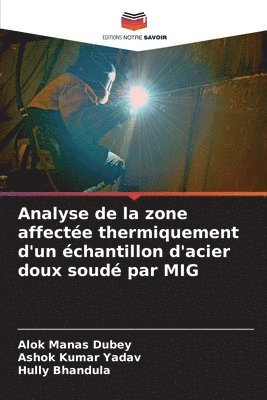 Analyse de la zone affecte thermiquement d'un chantillon d'acier doux soud par MIG 1