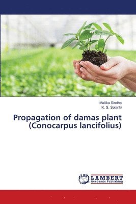 bokomslag Propagation of damas plant (Conocarpus lancifolius)