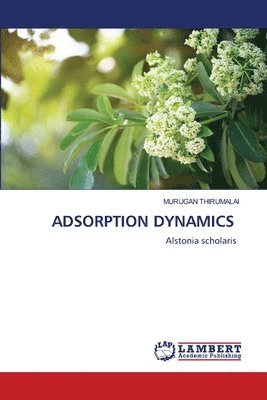 Adsorption Dynamics 1