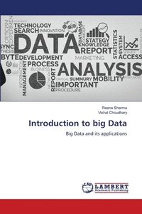 bokomslag Introduction to big Data