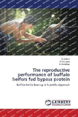 The reproductive performance of buffalo heifers fed bypass protein 1