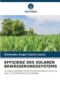bokomslag Effizienz Des Solaren Bewsserungssystems