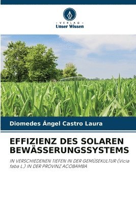 Effizienz Des Solaren Bewsserungssystems 1