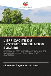 bokomslag L'Efficacit Du Systme d'Irrigation Solaire