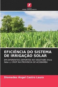bokomslag Eficincia Do Sistema de Irrigao Solar