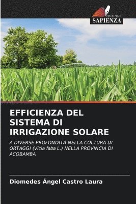 Efficienza del Sistema Di Irrigazione Solare 1