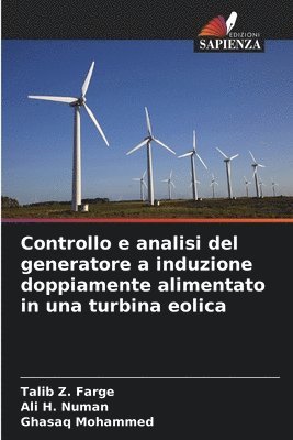 Controllo e analisi del generatore a induzione doppiamente alimentato in una turbina eolica 1