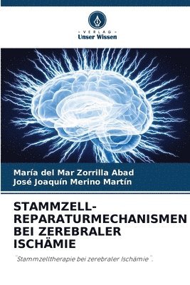 Stammzell-Reparaturmechanismen Bei Zerebraler Ischmie 1