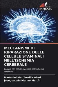 bokomslag Meccanismi Di Riparazione Delle Cellule Staminali Nell'ischemia Cerebrale