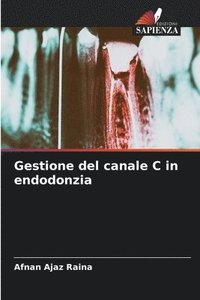 bokomslag Gestione del canale C in endodonzia