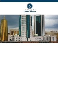 bokomslag Partnerschaft Vector - Kasachstan