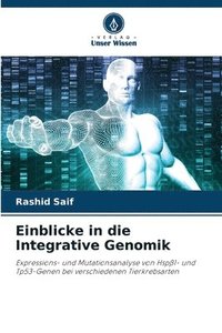 bokomslag Einblicke in die Integrative Genomik