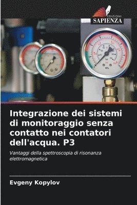 Integrazione dei sistemi di monitoraggio senza contatto nei contatori dell'acqua. P3 1