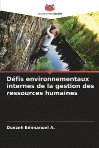 bokomslag Dfis environnementaux internes de la gestion des ressources humaines
