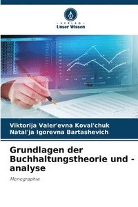 bokomslag Grundlagen der Buchhaltungstheorie und -analyse
