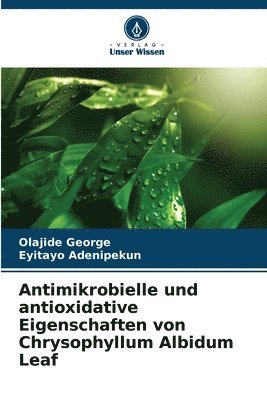 Antimikrobielle und antioxidative Eigenschaften von Chrysophyllum Albidum Leaf 1