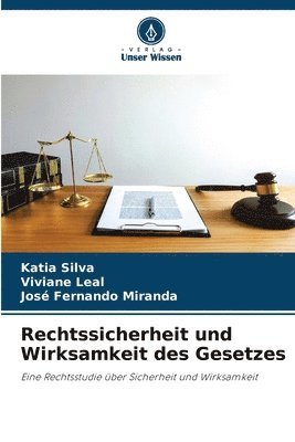 bokomslag Rechtssicherheit und Wirksamkeit des Gesetzes