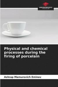 bokomslag Physical and chemical processes during the firing of porcelain