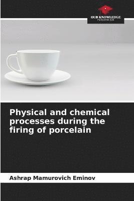 Physical and chemical processes during the firing of porcelain 1
