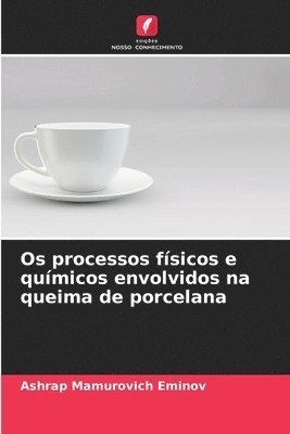 Os processos fsicos e qumicos envolvidos na queima de porcelana 1