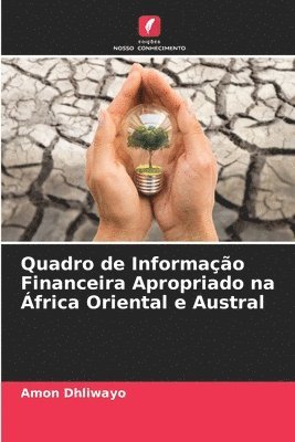 bokomslag Quadro de Informao Financeira Apropriado na frica Oriental e Austral