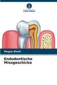 bokomslag Endodontische Missgeschicke