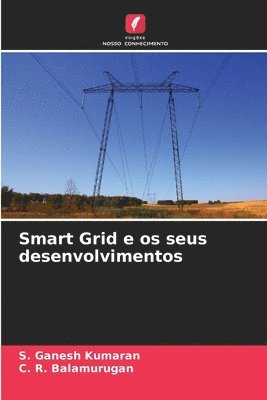 Smart Grid e os seus desenvolvimentos 1