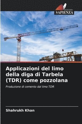 Applicazioni del limo della diga di Tarbela (TDR) come pozzolana 1